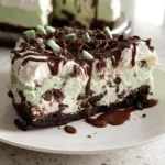 Mint Chocolate Chip Ice Cream Cake